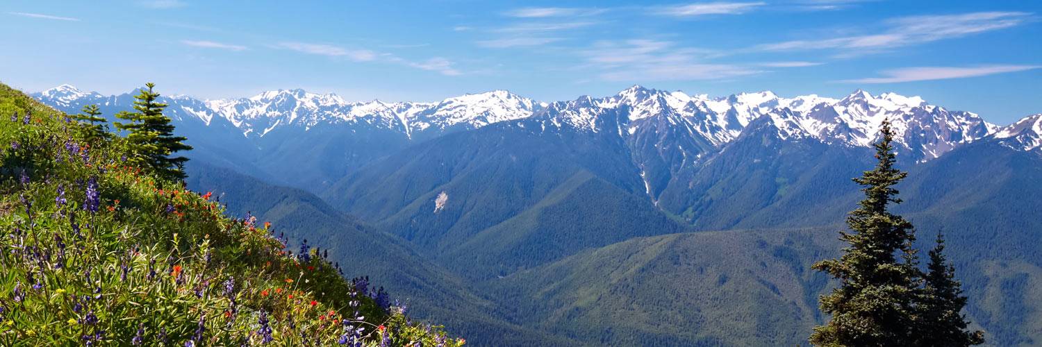 Hurricane Ridge Hiking Ski Area Olympic National Park