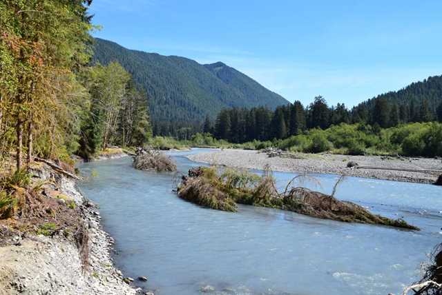 Private Guided Tour - Olympic Hiking Co.