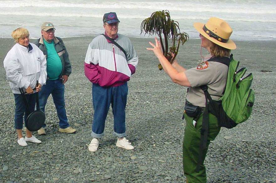 Enjoy walks and talks in Olympic National Park with fun and insightful ranger programs.