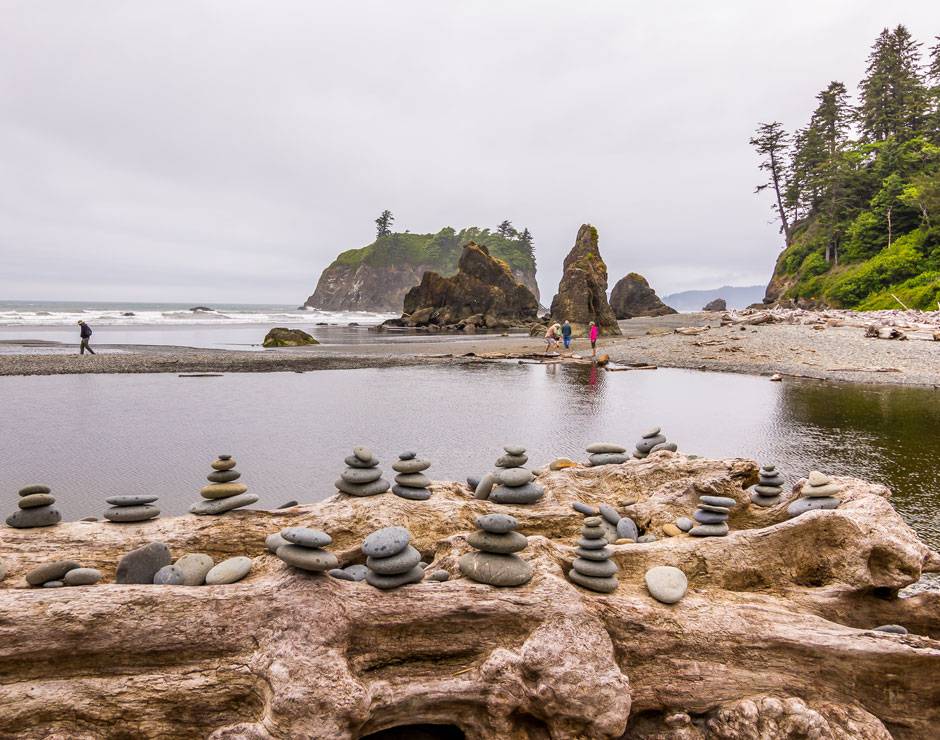 Explore Olympic National Park | Kalaloch Lodge | Forks, WA